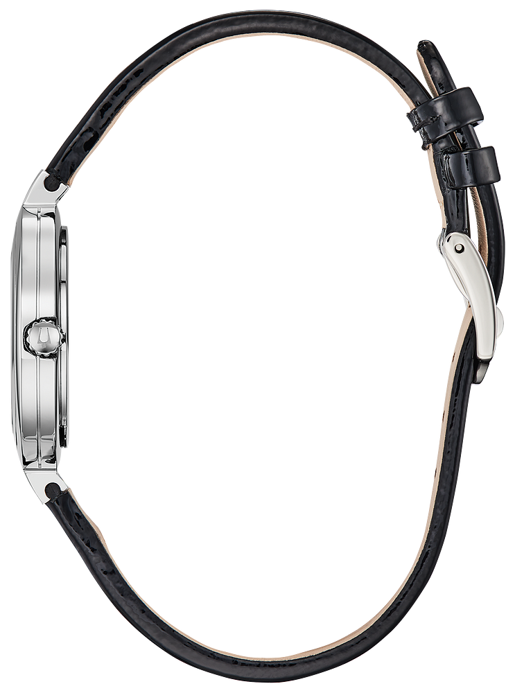 Montre Bulova 96P211