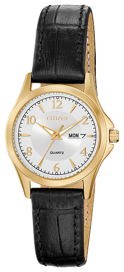 Montre Citizen EQ0593-26A