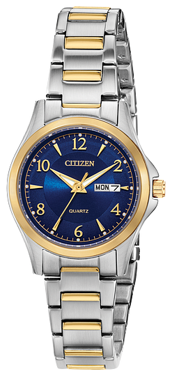 Montre Citizen EQ0595-55L