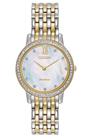 Montre Citizen EX1484-57D