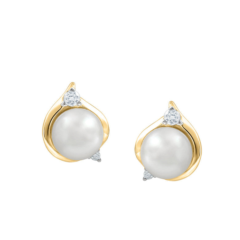 Boucles de perle de culture