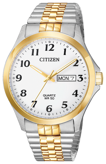 Montre Citizen BF5004-93A